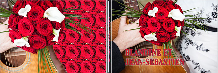 PREMIERE PAGE ET PAGE ARRIERE DU LIVRE DE MARIAGE DE BLANDINE ET SEBASTIEN