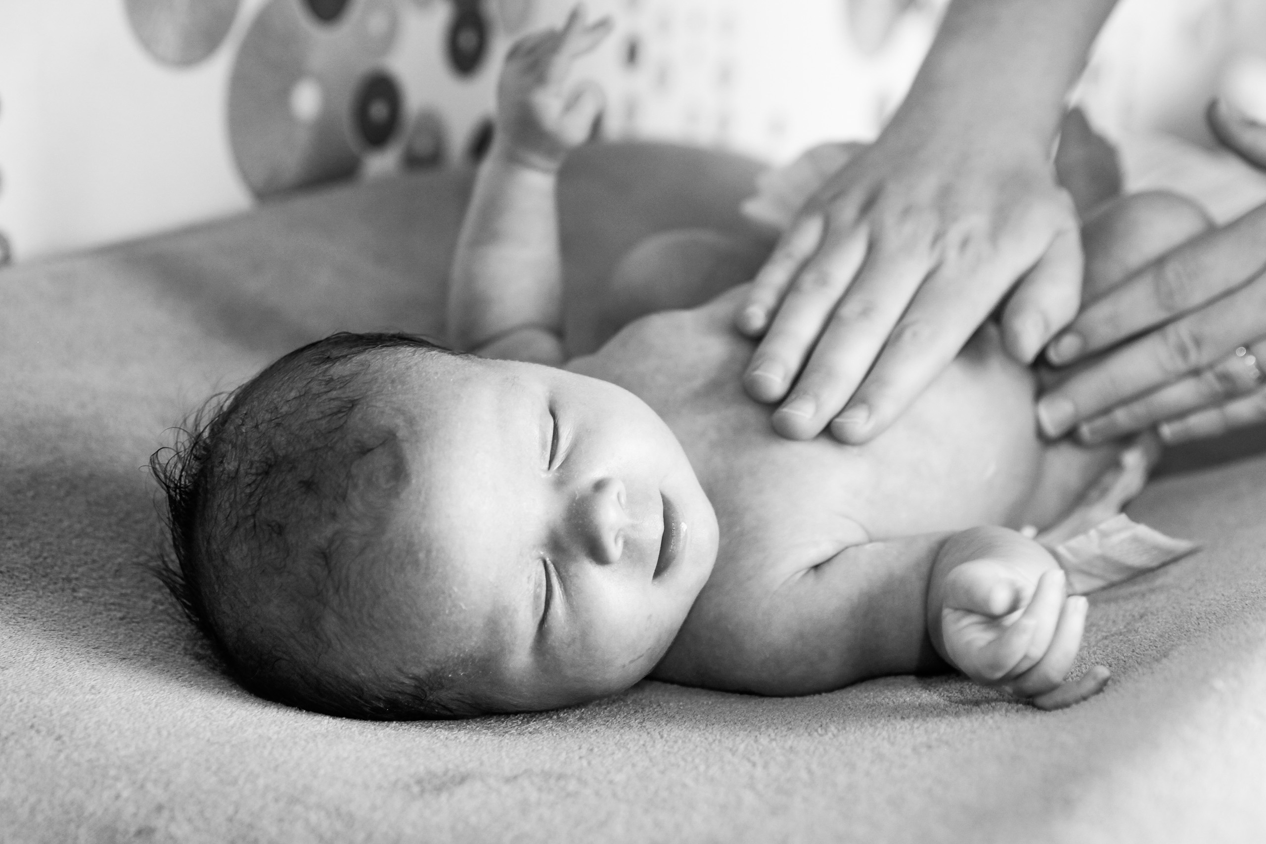 photo de bébé Rose