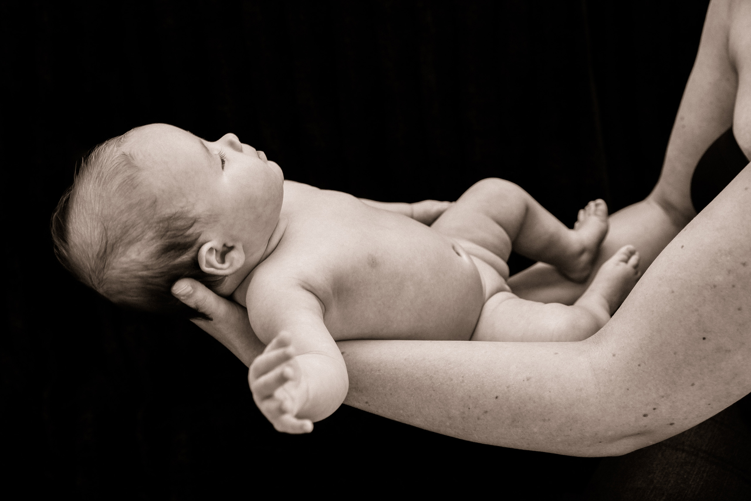 photo de bébé Rose