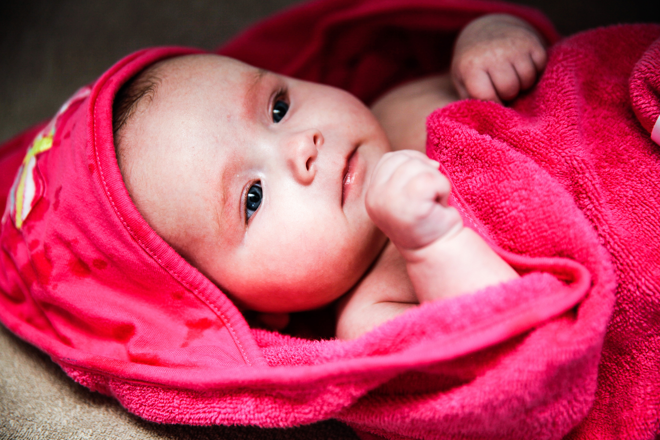 rose-501 photo de bébé Rose